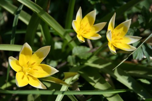 ��������� ������