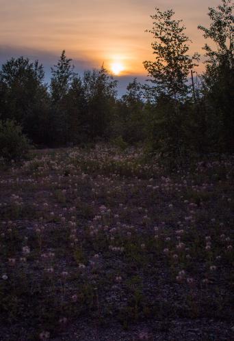 ����� �� �����