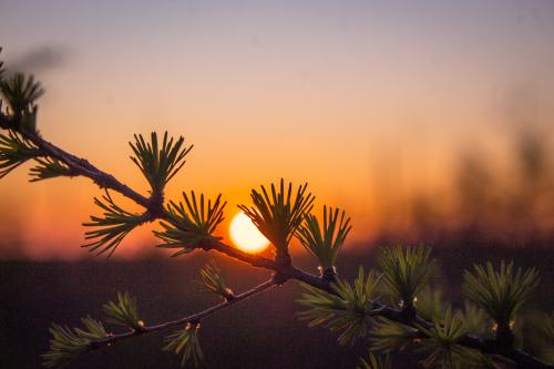 ����� �� ������� �����