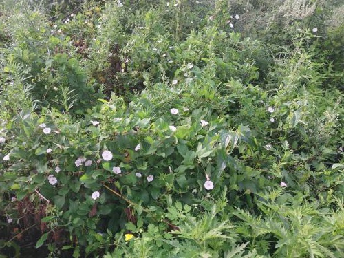 ��������� �������