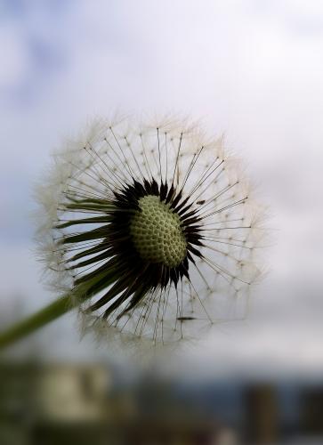 ��������� �� ������ ������