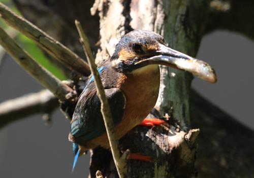 ��������� � �����