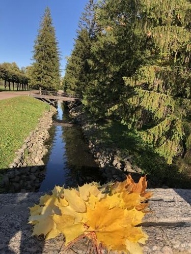 ������� �����