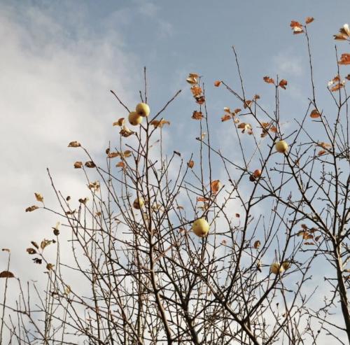 �������.