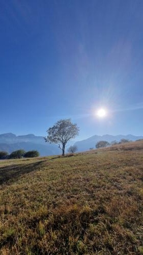 �������� ������