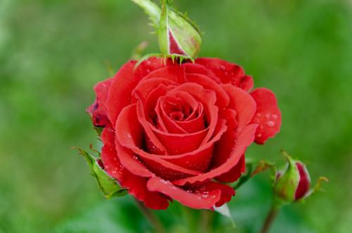 ������� ����