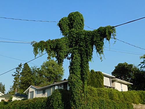 ������ ���������