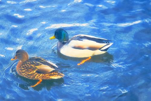 �������� � ������ 4