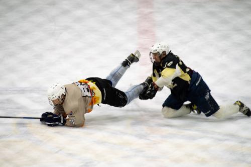 ������������ ������ 