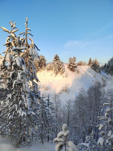 ������������� ������� 