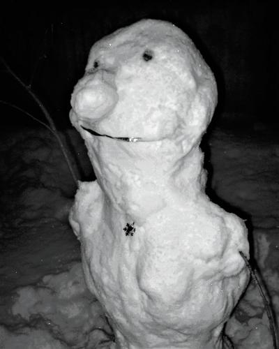 ������� �������.