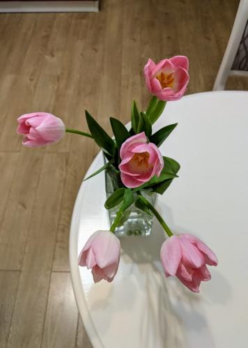 ������ �������! 