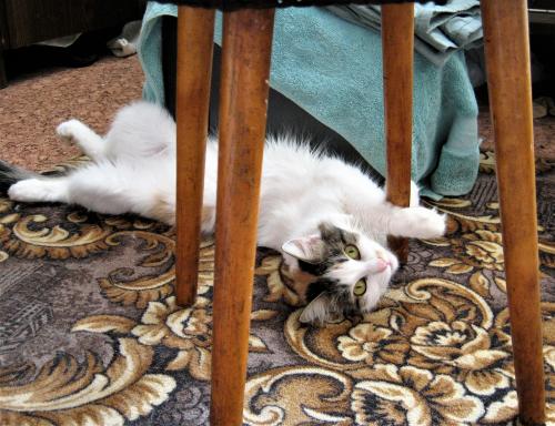 �  ������� !