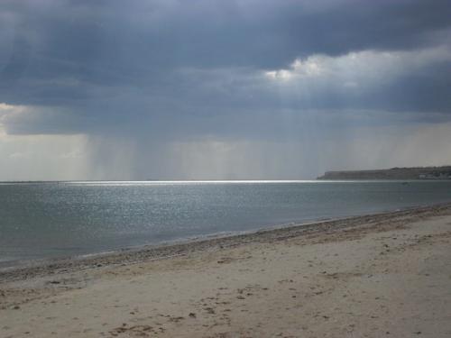 �������� �����