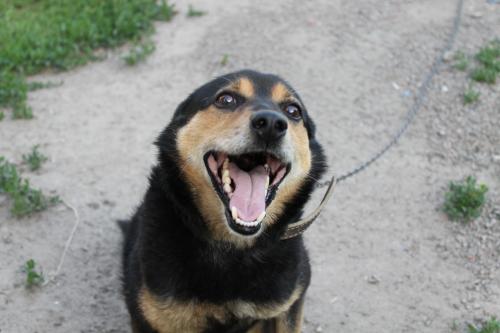 Ѹ