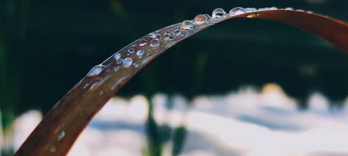 ���� �� ���������