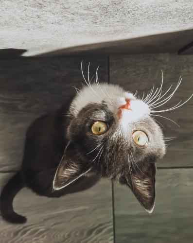 ������ � ����� ������ 