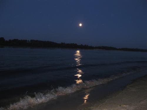 ������ �������