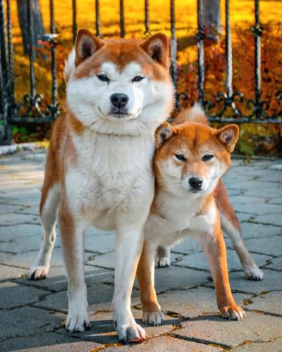  : 