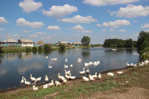 ������� ����