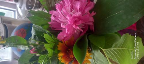 Flower monday