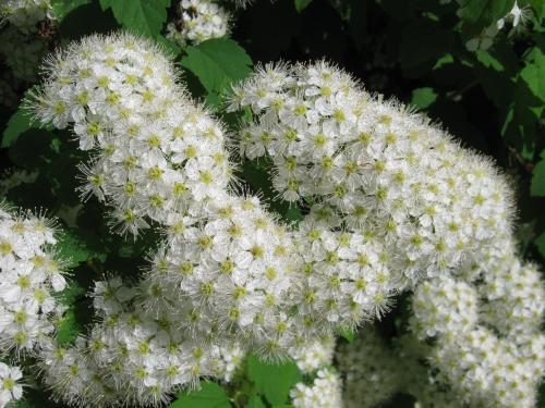 �������� ������.