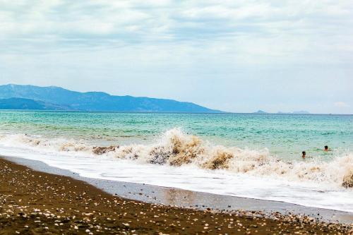 ���� ���������...