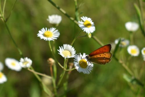 ������� � ����