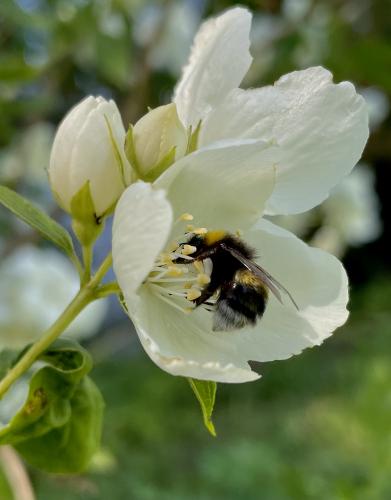 �������