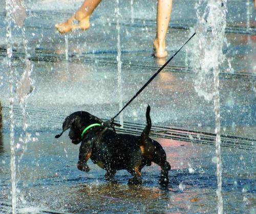 �����. �������� ������������.