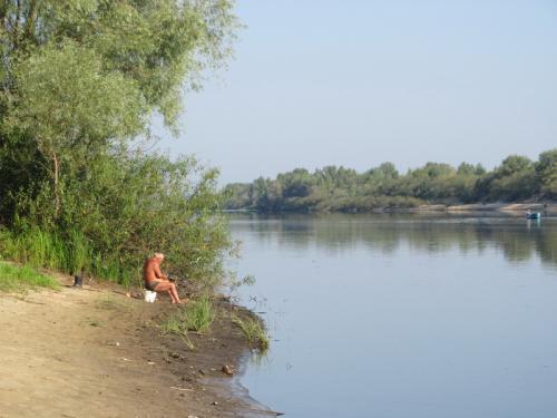 ��� �����