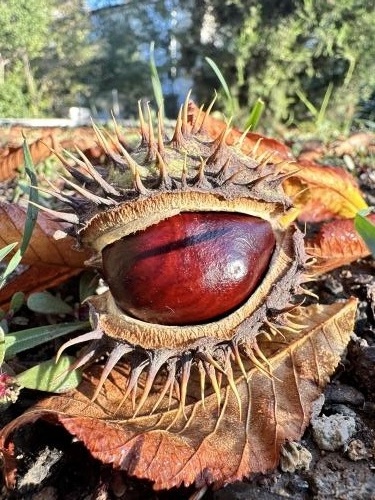 ������ ��� �������� ����?