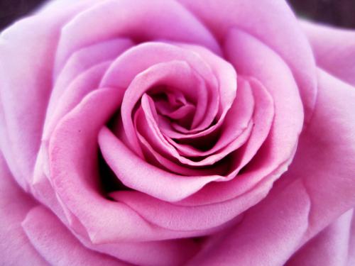 �������� ����