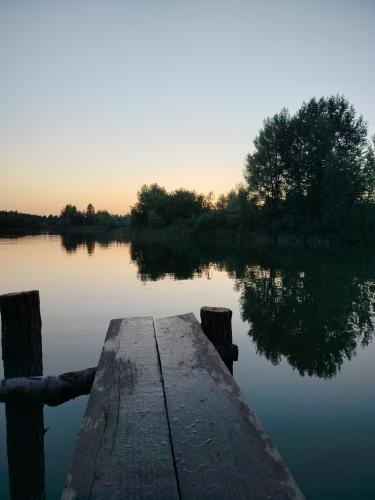 ����� �����