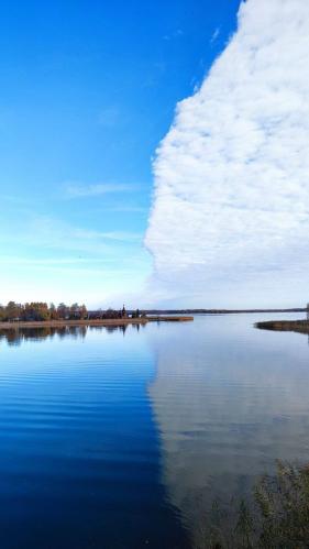 ������� �������� 