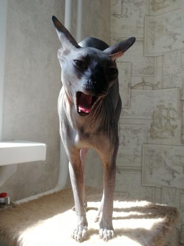 ����� ���?