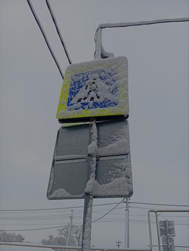 1732031031
