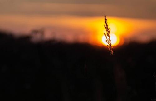 ���������� �����