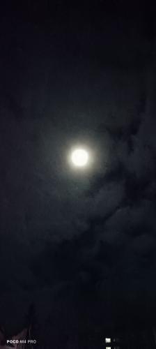 1732429575