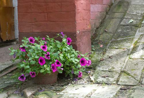 �������