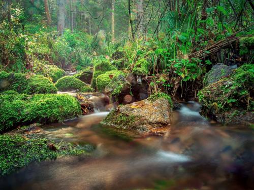 ������������� ���