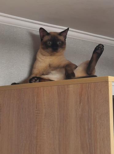 ����� �� ������� 