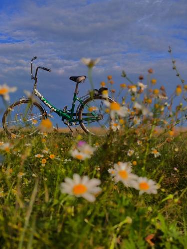 ������� �� �����