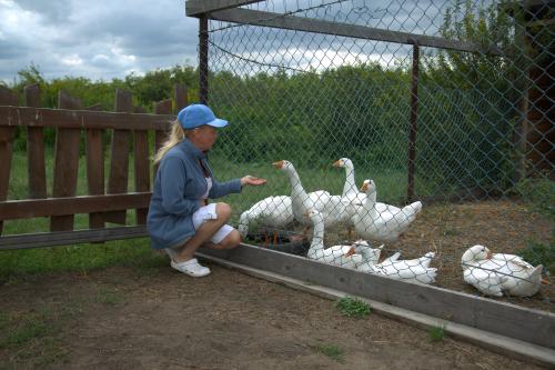 ����-������