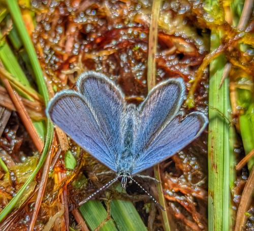 ���������.