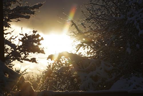 ��������� ���� 2024