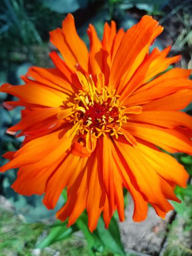 �����, ������ ������