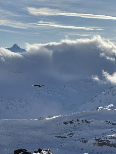 ������������� ���� � �����