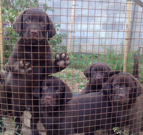 � ��������� ������