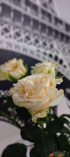 ����� � ������ 